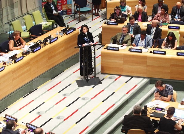 Vietnam verpflichtet sich, zur Arbeit von ECOSOC beizutragen - ảnh 1